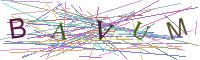 Visual Captcha